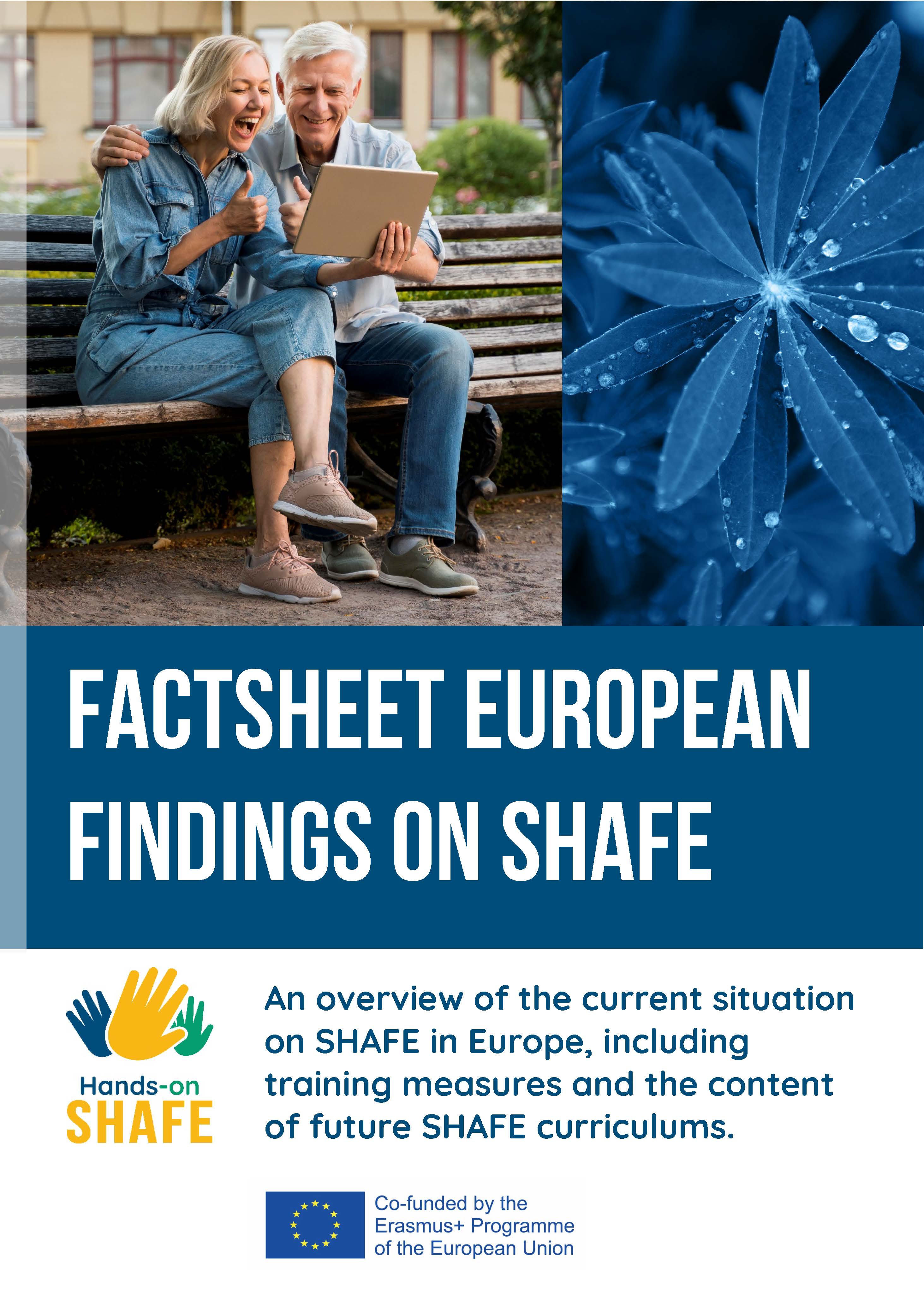 European Synthesis Report of research results on SHAFE
